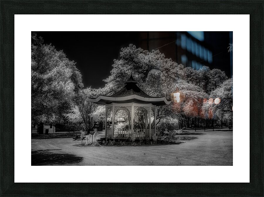 Garden Gazebo Picture Frame print