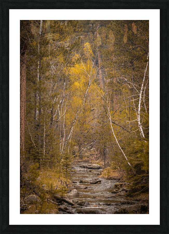 Wilderness Whispers: Grace Coolidge Creek Picture Frame print