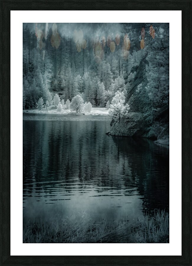 Enchanting Haze: Sylvan Lakes Smoky Pine Glow in Infrared Picture Frame print