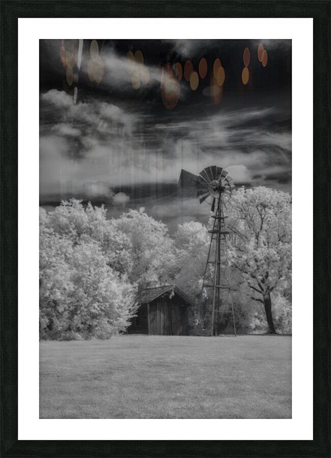 Sentinel of Prairie Dreams Picture Frame print