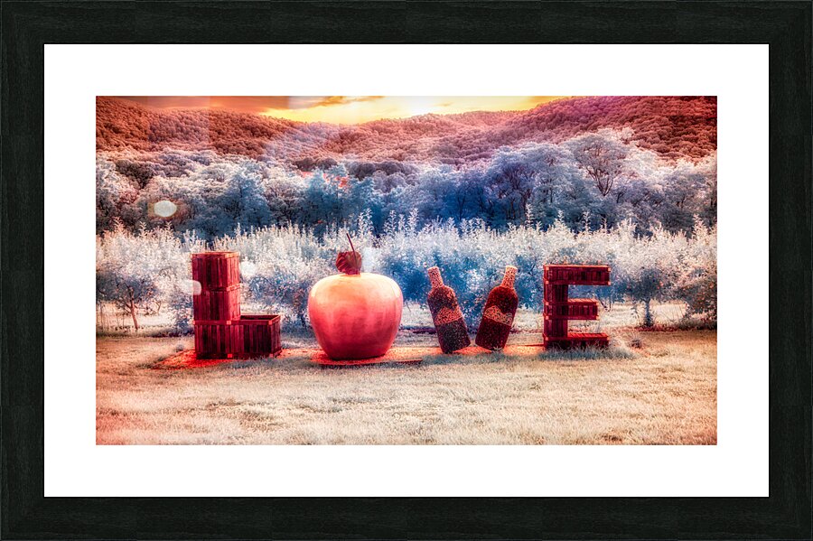 Fantasy Sculptural Oasis: Virginia Love Picture Frame print