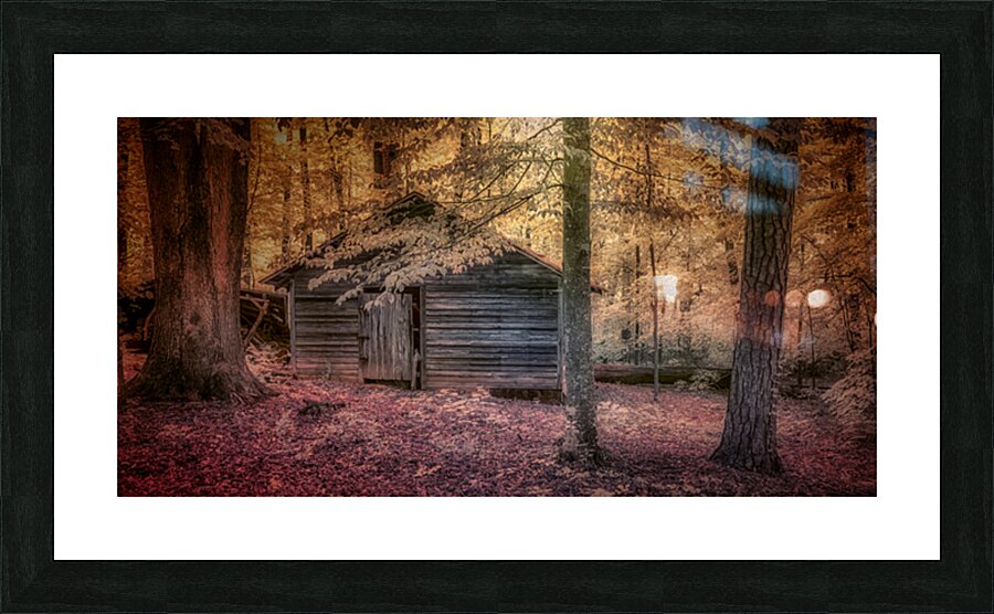 Abandoned Cabin Sanctuary Picture Frame print