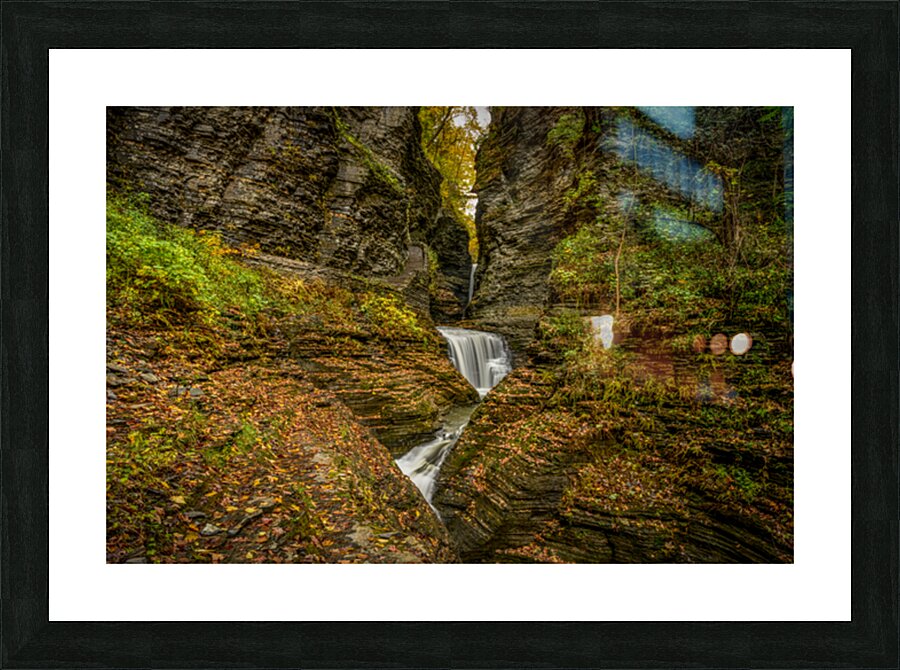 Autumns Hidden Symphony Impression et Cadre photo