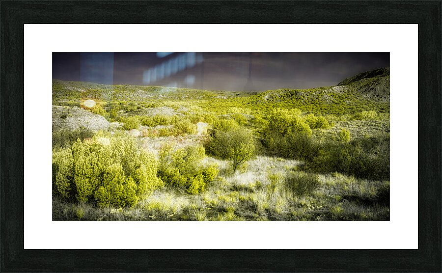 Shrubs and Trees in Secret Spectrum Picture Frame print