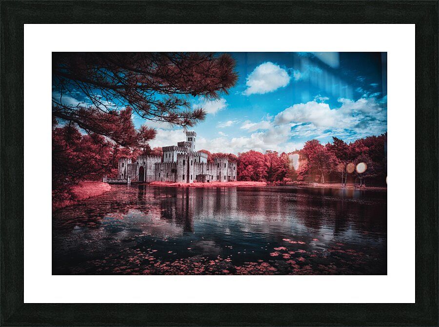 Newmans Castle: A Texan Tale in Infrared Bloom Picture Frame print