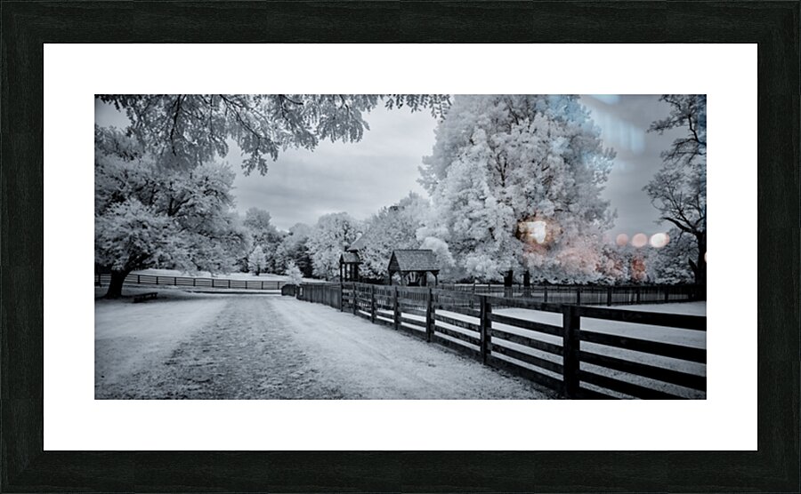 Whispers of Time: A Weathered Road Along Appomattox Courthouse Towns Fences Impression et Cadre photo