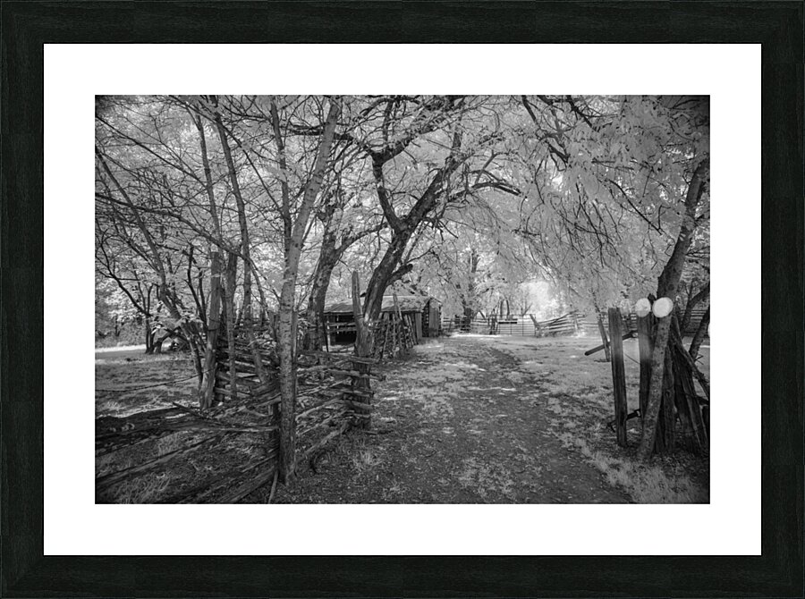 Farm path - 2 Picture Frame print