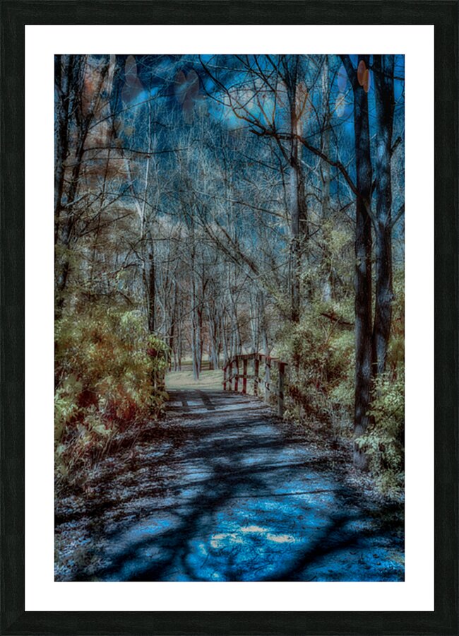 Vivid Trails: A Colorful Infrared Journey at Knox Dam Picture Frame print