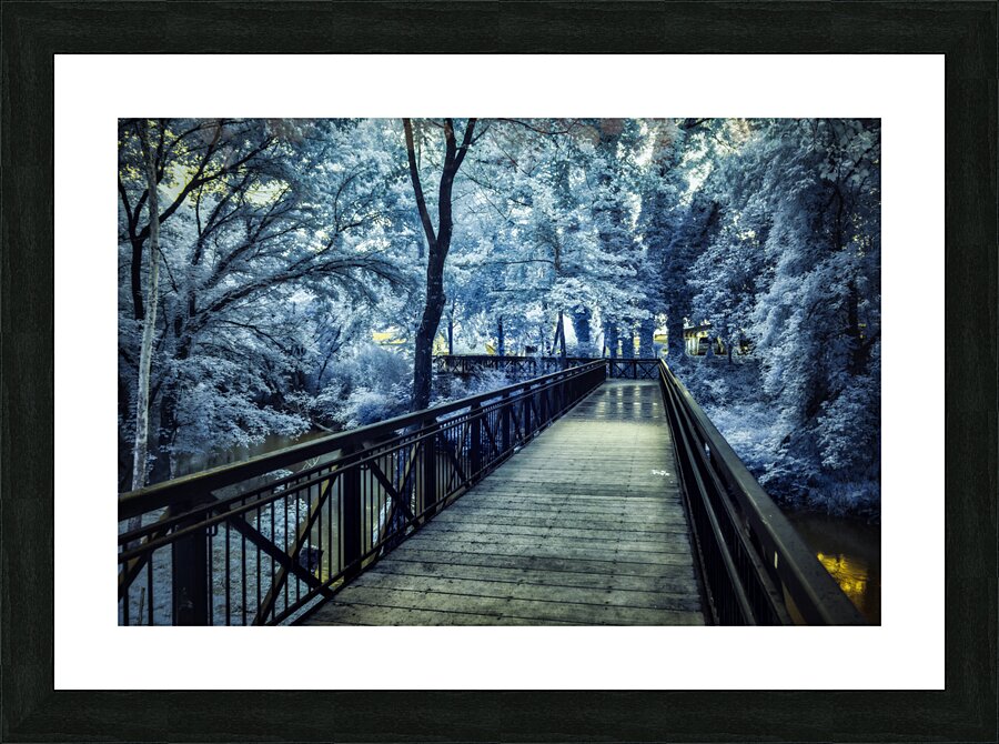 Journeys Through Lynchburg: Exploring Jack Daniels and Beyond Picture Frame print