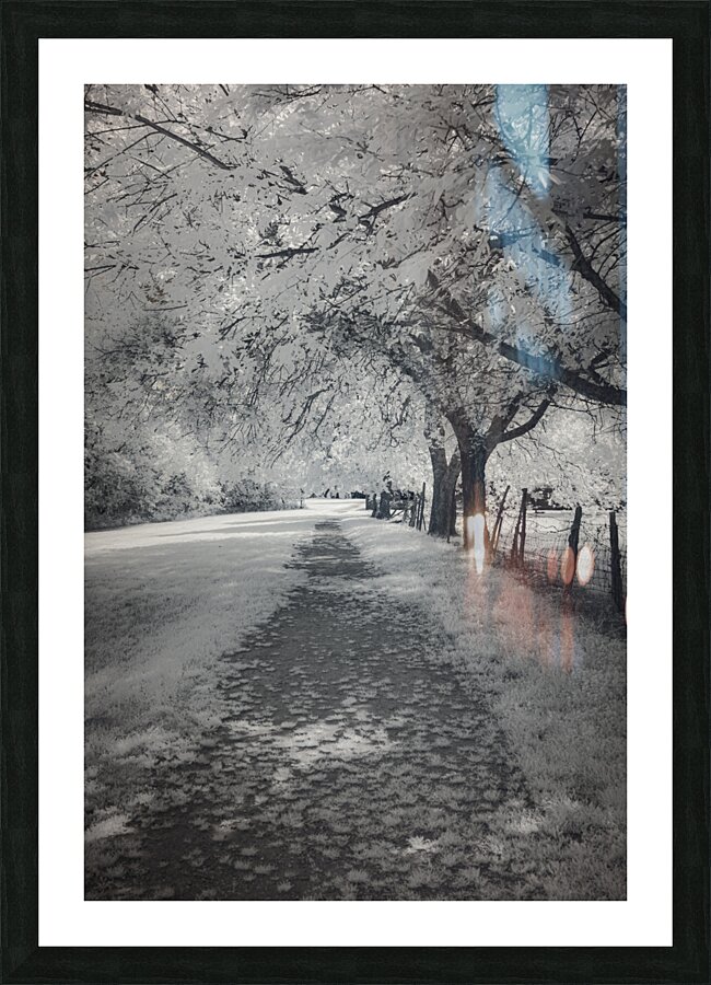 Farm Path - 3 Picture Frame print