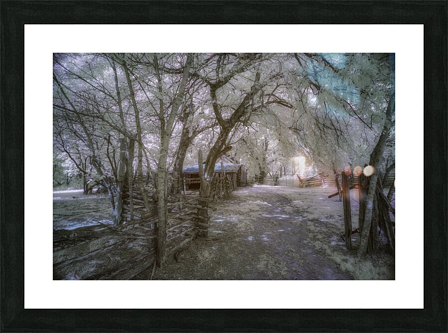 Farm path - 1 Picture Frame print