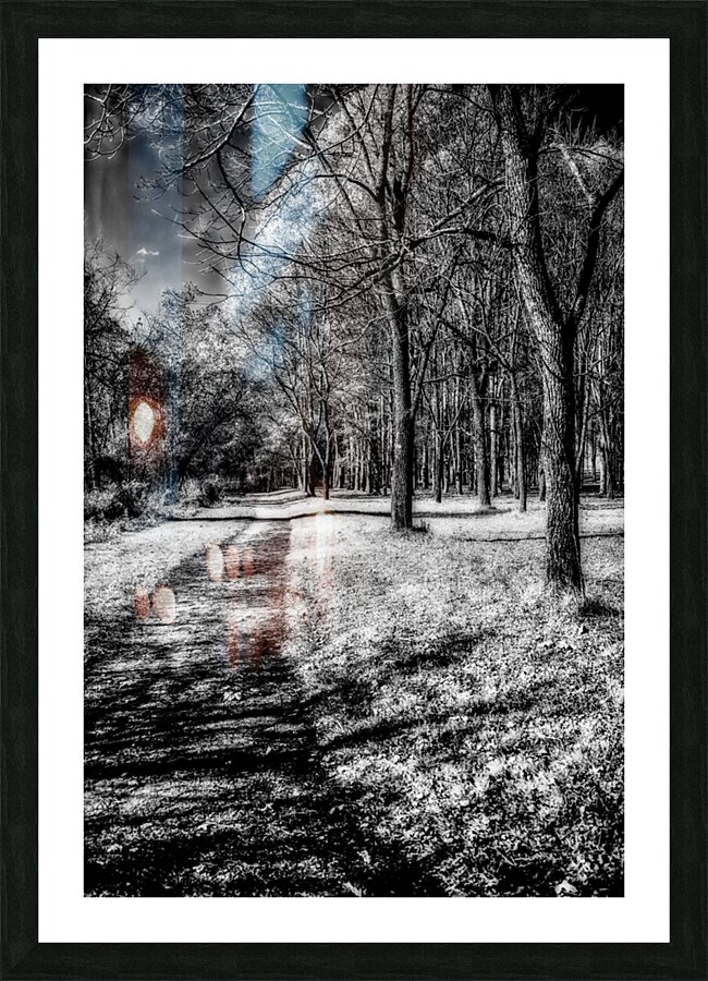 Enchanted Pathways: A Monochrome Overture Picture Frame print