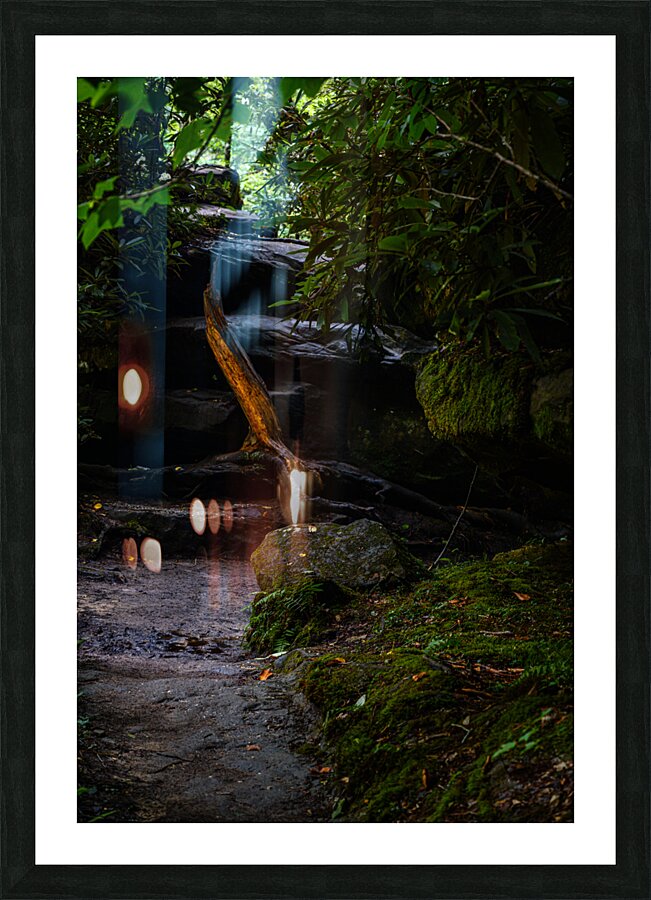 Fiery Stump Picture Frame print