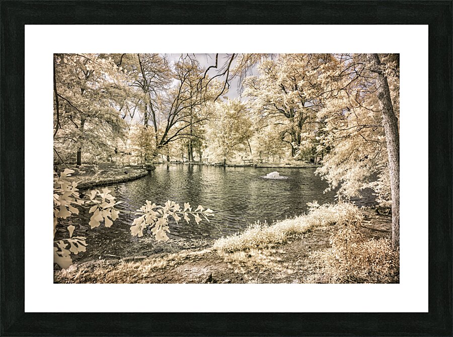 Lake Edge and Overhanging Branches: Sam Houston Site Picture Frame print