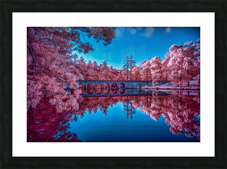 Infrared Oasis: Pink Arches Picture Frame print