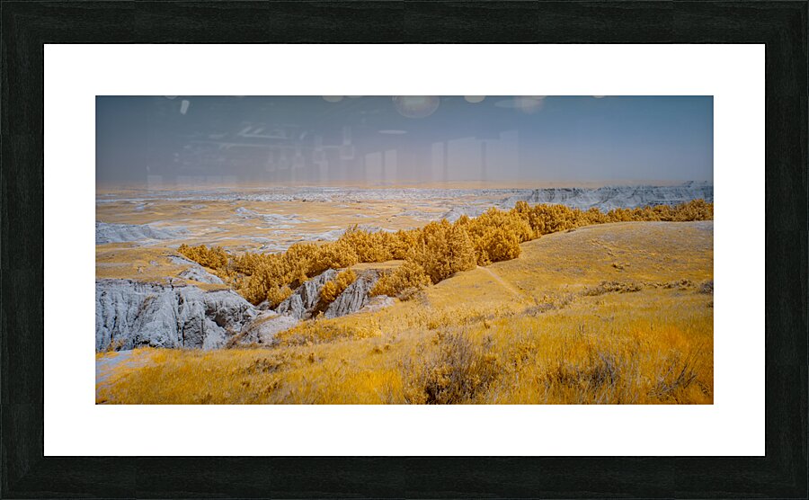 Golden Overview Picture Frame print