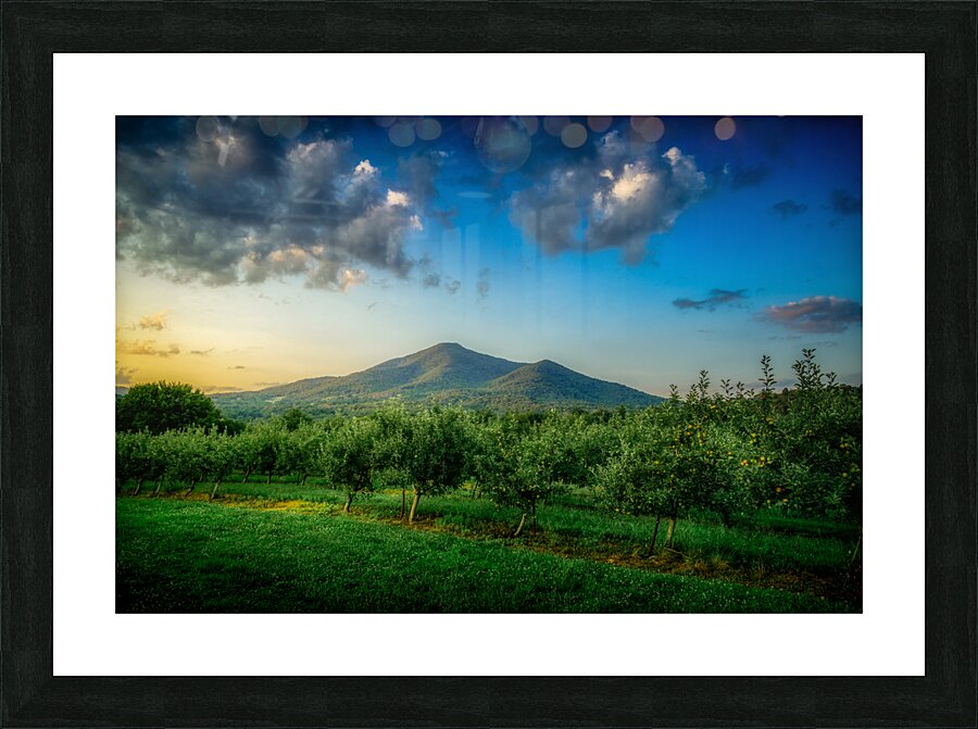 Peaks of Otter Picture Frame print