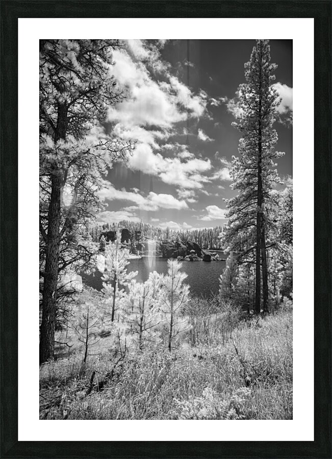Sylvan Lakes Majesty: An Overview Picture Frame print