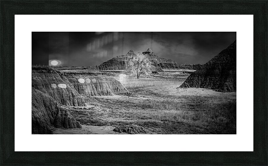 Solitary Sentinel of the Badlands Picture Frame print