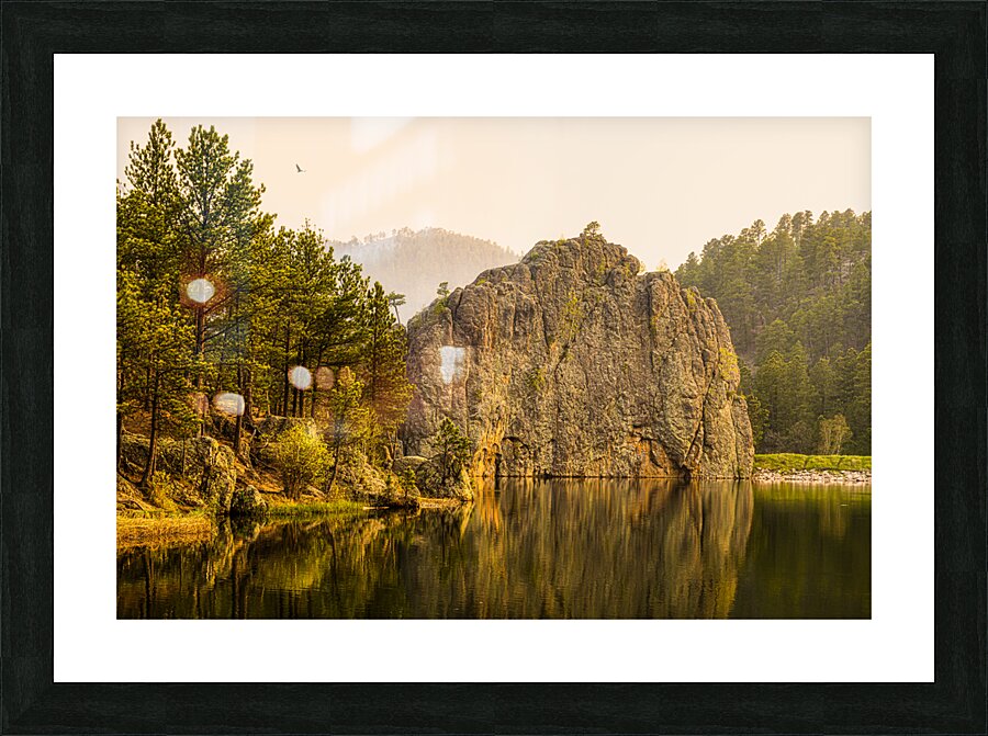 Soaring over Legion Picture Frame print