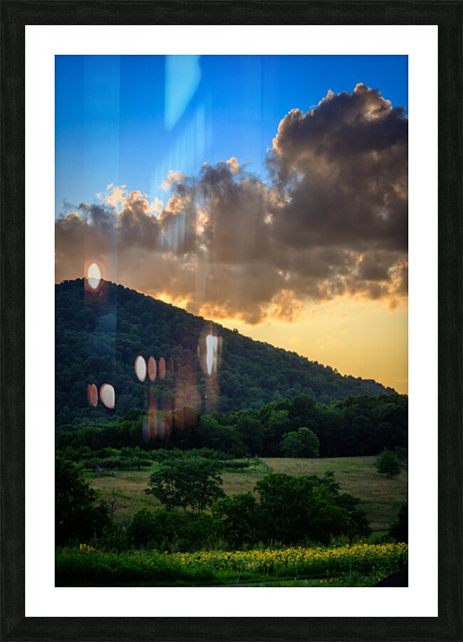 Virginias Golden Veil Picture Frame print