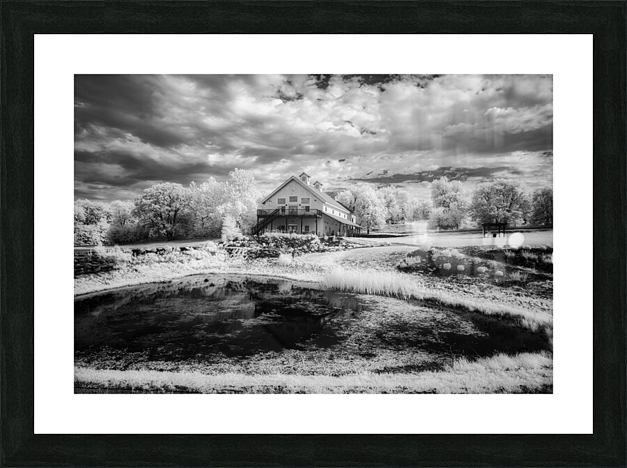 Ethereal Oasis: A Day at Bodega Winery Picture Frame print