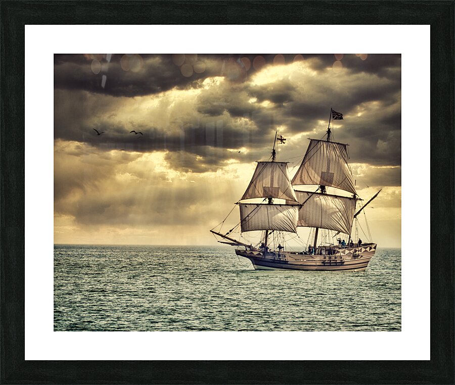 Maritime Marvel: Witnessing a Historic Tall Ship Arrival During Our Family Vacation to Cape Charles Virginia -2 Picture Frame print