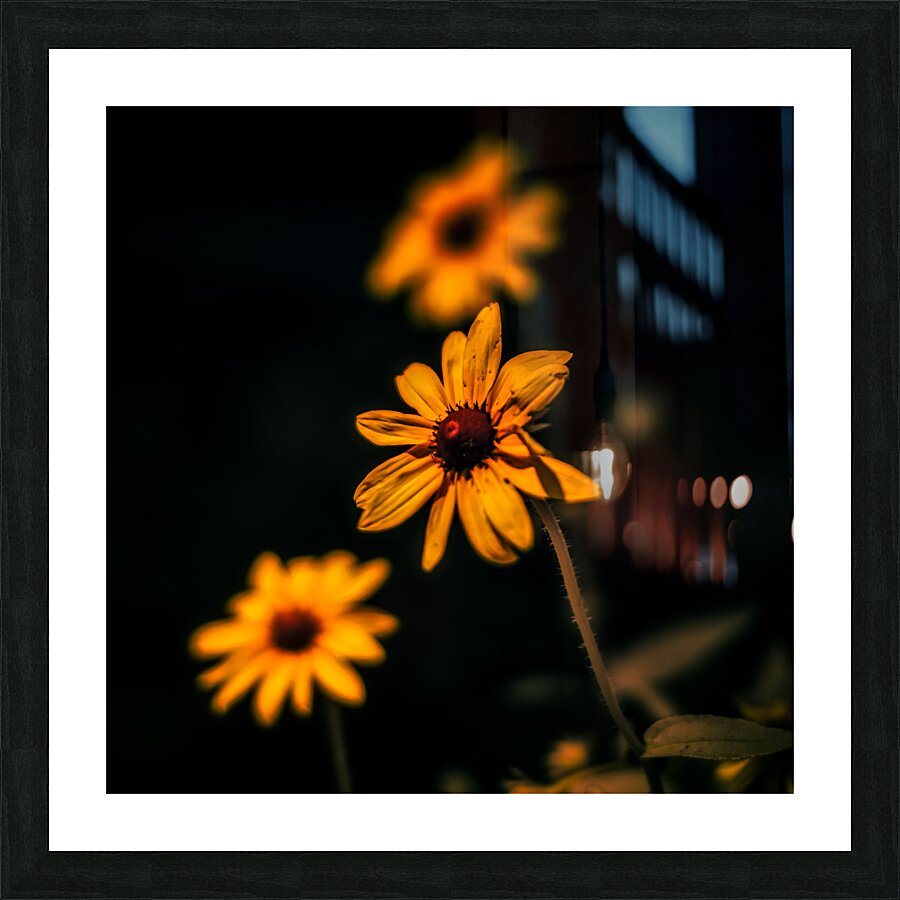 Full Spectrum Flowers Picture Frame print