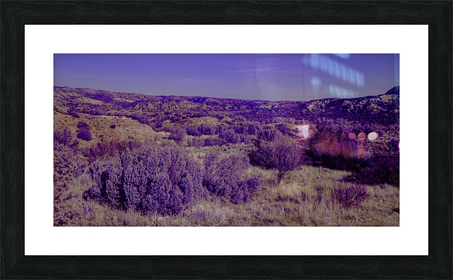 Purple Majesty Impression et Cadre photo