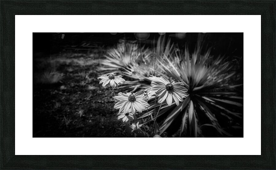 Flowery Picture Frame print