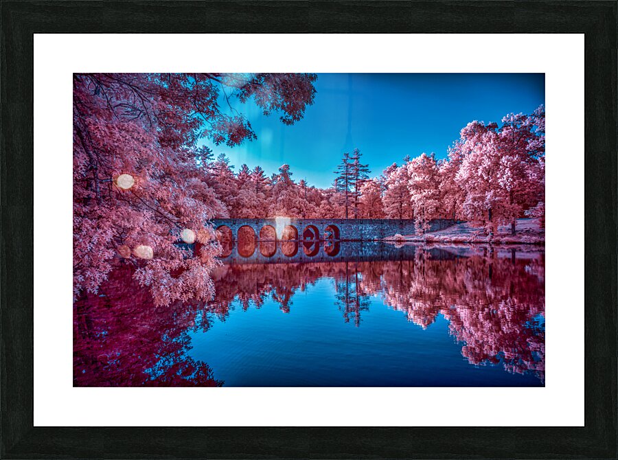 Infrared Oasis: Pink Arches Picture Frame print