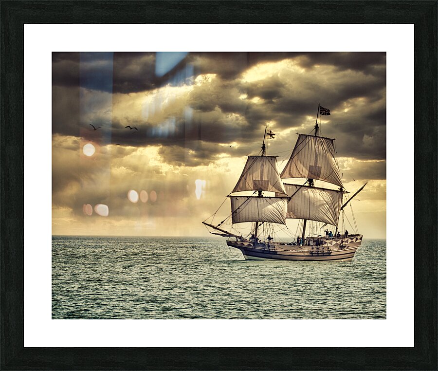 Maritime Marvel: Witnessing a Historic Tall Ship Arrival During Our Family Vacation to Cape Charles Virginia -2 Picture Frame print