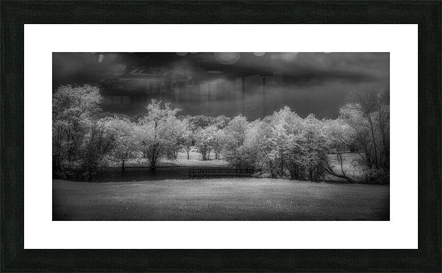 Moody Moments: Texas Roadside Pond Picture Frame print
