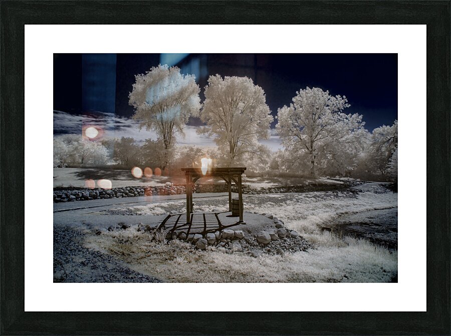 Frosted Tranquility Trelles Picture Frame print