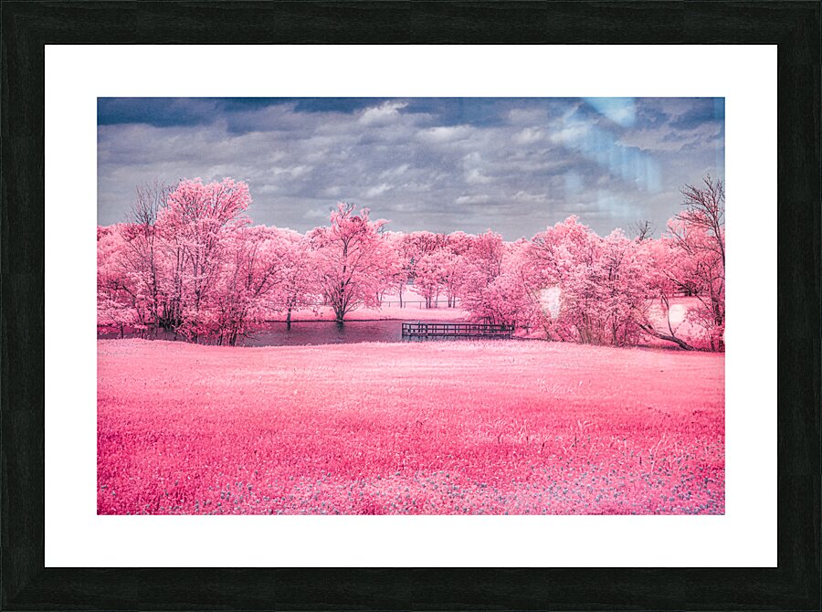Exploring Texas: A Cotton Candy Roadside Pond Impression et Cadre photo