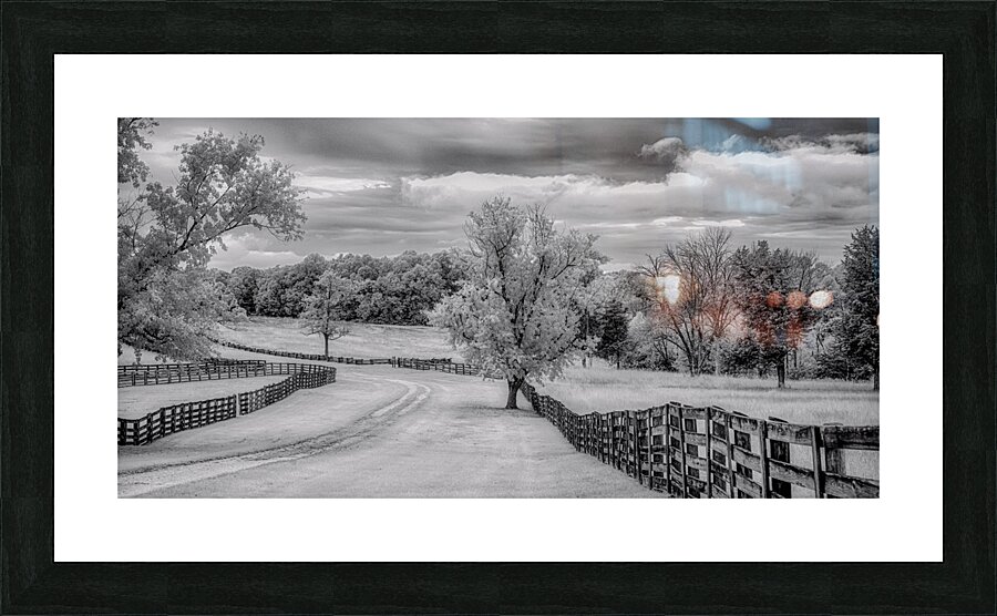 Journey Beyond: Traversing the Worn Road of Appomattox Courthouse Town Picture Frame print