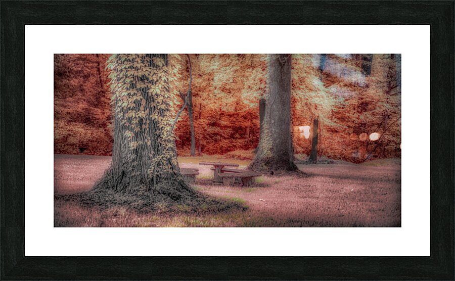 Aunts Oasis: Discovering the Dreamy Charm of a Color Infrared Patio Set in Tennessee Picture Frame print