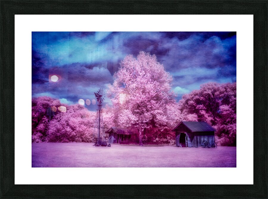 Windmill Wonders: Rustic Pink Charm Picture Frame print