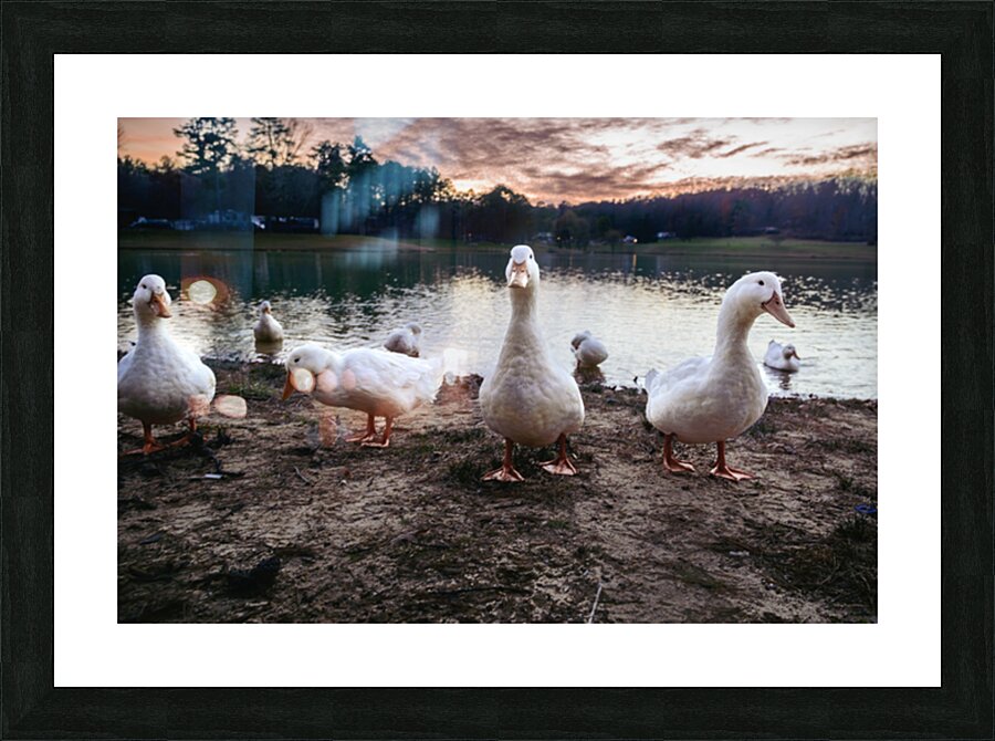 We are Coming Picture Frame print