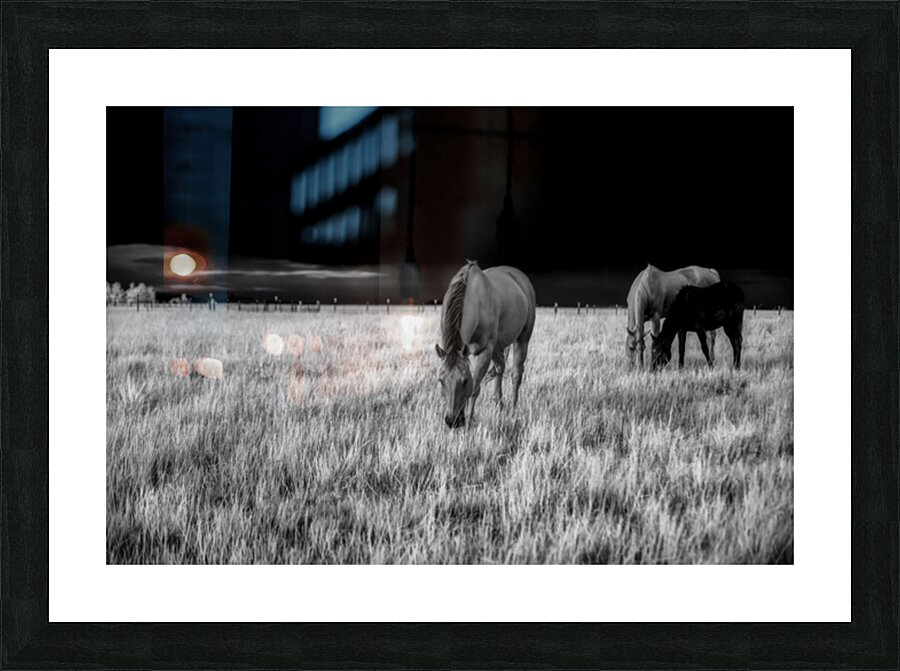 Tranquil Pastoral Serenity Picture Frame print