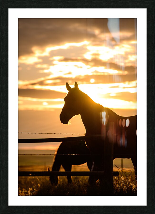 Sillouhette of Ernie Impression et Cadre photo