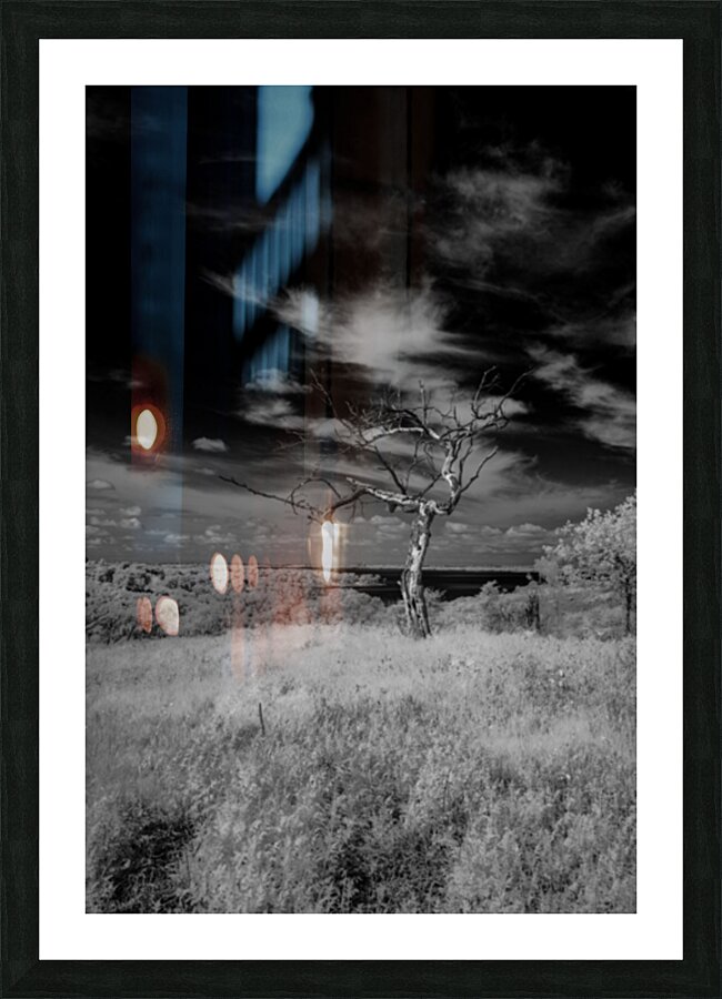 Symphony of Light and Shadow Picture Frame print