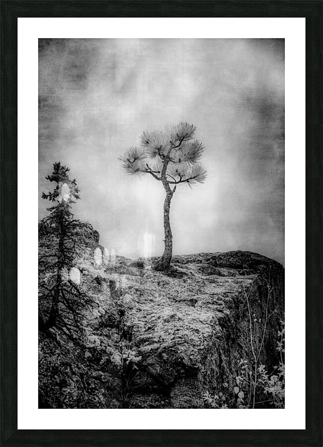 Serene Sylvan Lake: Alone on the Hill Picture Frame print