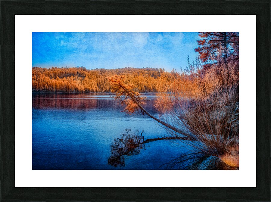 Arboreal Embrace: Trees Embracing the Tranquil Waters Picture Frame print