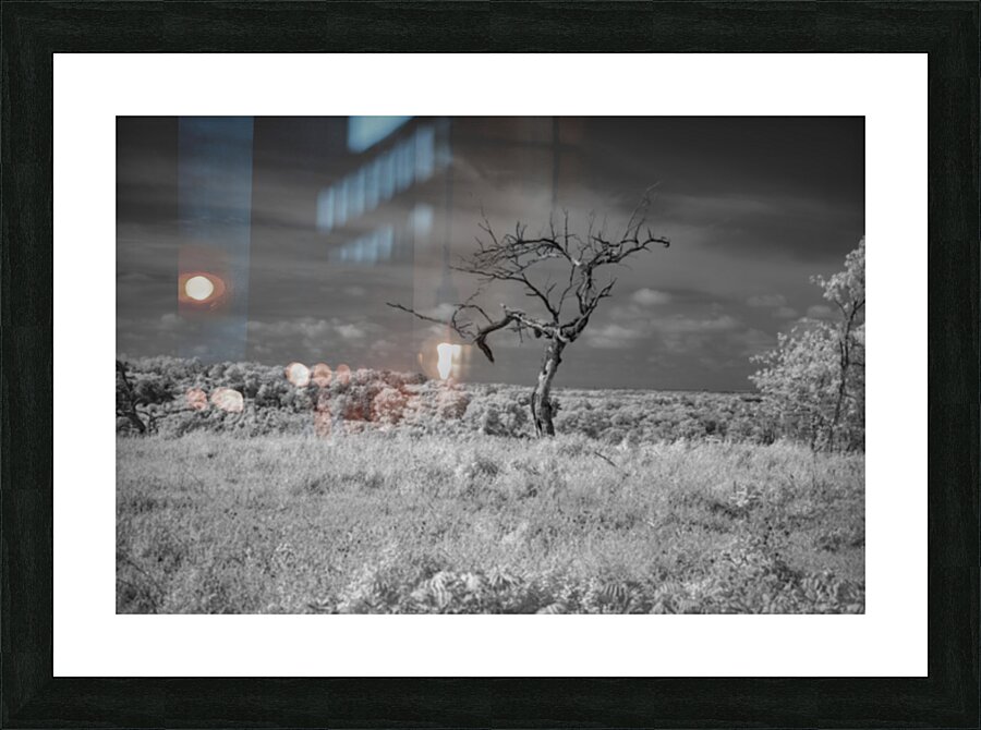 Solitary Whispers in Wild Grass Impression et Cadre photo