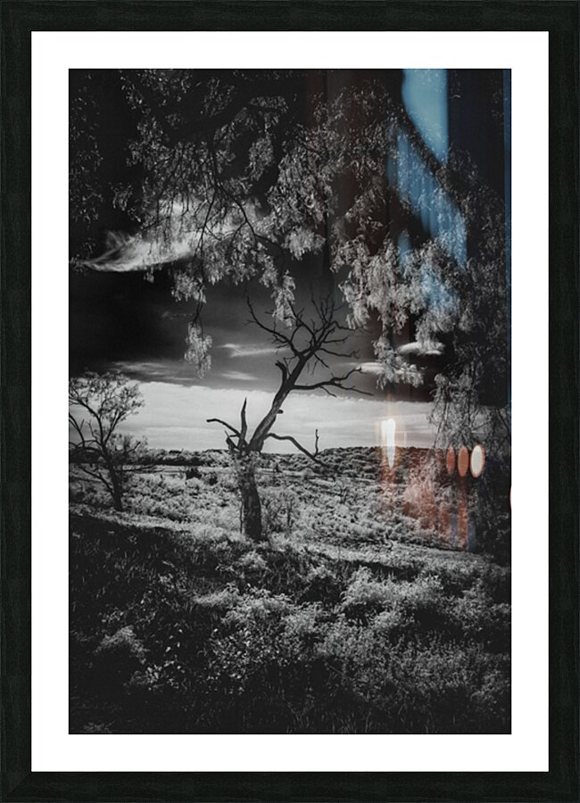 Veiled Guardian of Ancient Hills Picture Frame print