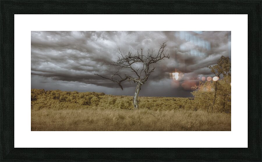 Barren Sentinel Amidst Storms Embrace Impression et Cadre photo