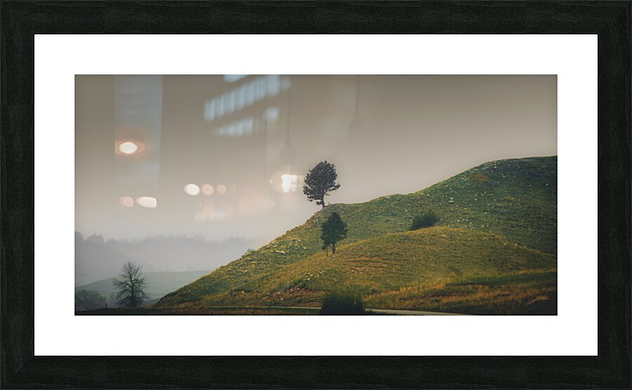 Solitary Sentinels: Misty Isolation Picture Frame print