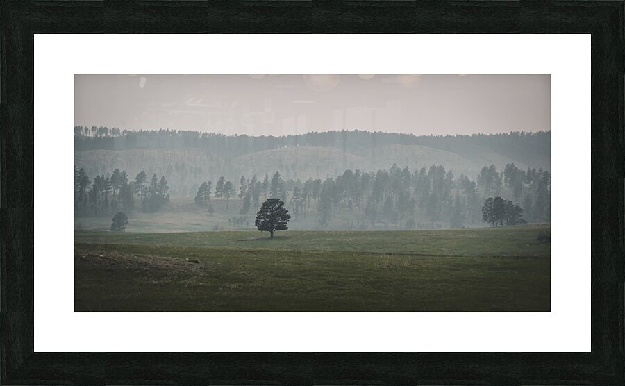 Solitudes Symphony: A Journey Through Custers Wildlife Loop Impression et Cadre photo