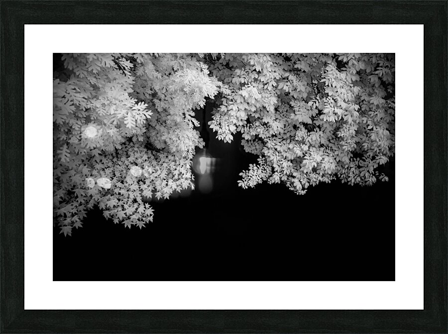 Lost in Tonal Serenity Picture Frame print